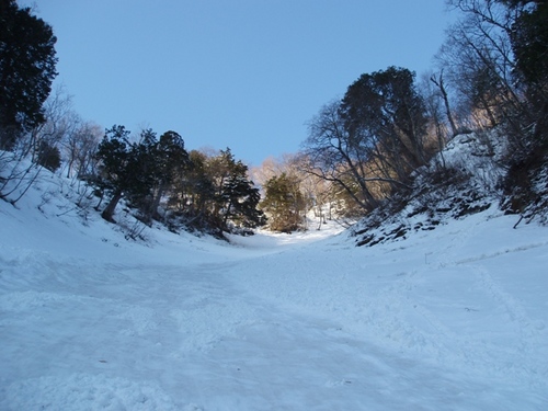 雪崩の通り道.jpg